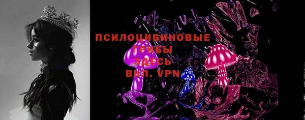 ПСИЛОЦИБИНОВЫЕ ГРИБЫ Балахна