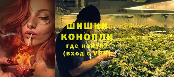ПСИЛОЦИБИНОВЫЕ ГРИБЫ Балахна