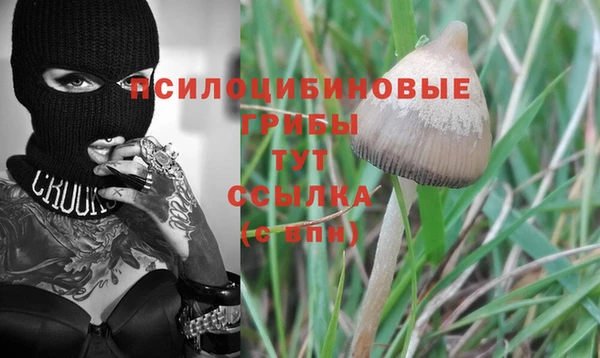 мескалин Баксан