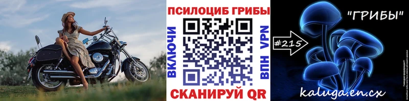 Галлюциногенные грибы Magic Shrooms  мориарти формула  Лениногорск 