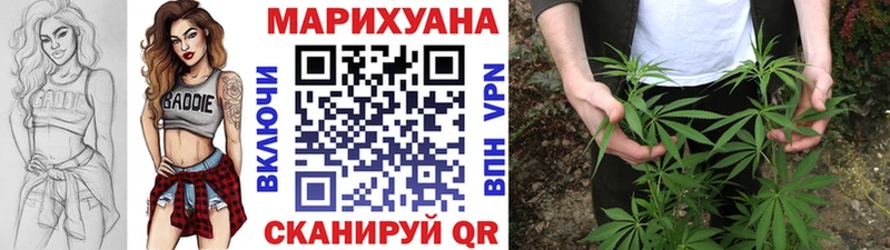 Бошки Шишки семена  МЕГА ССЫЛКА  Лениногорск 